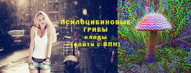 Псилоцибиновые грибы Psilocybine cubensis  даркнет телеграм  Алапаевск 